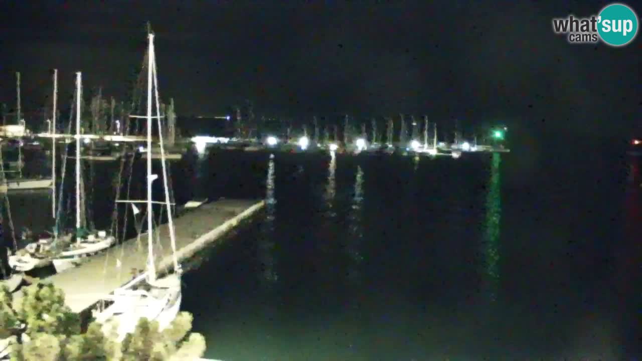 Webcam Bahía de Sistiana – Vista en directo del puerto deportivo y la costa