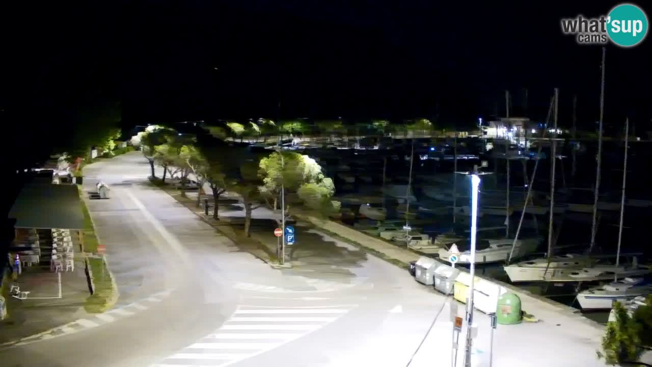 Webcam Bahía de Sistiana – Vista en directo del puerto deportivo y la costa