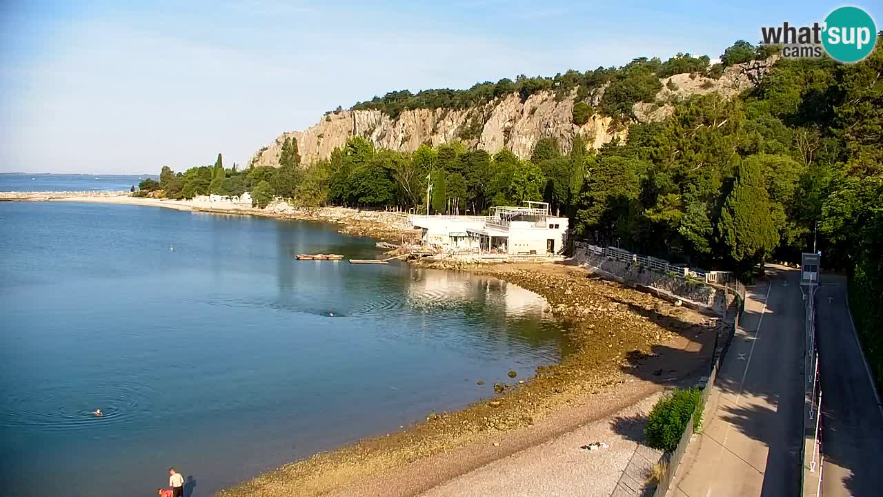 Webcam Bahía de Sistiana – Vista en directo del puerto deportivo y la costa