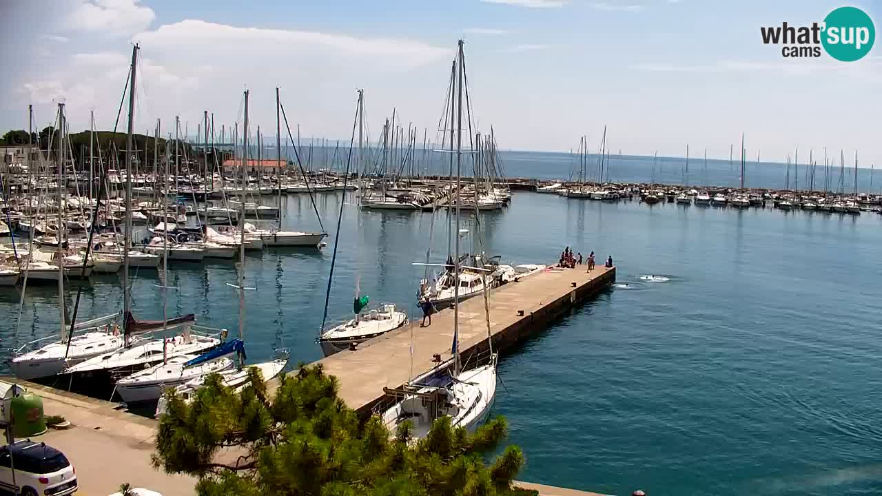 Webcam Baie de Sistiana – Vue en direct de la marina et de la baie