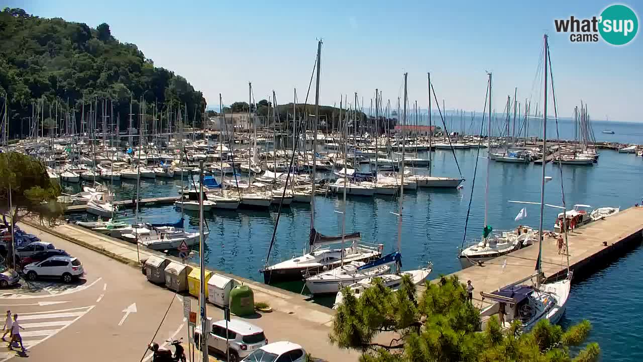 Webcam Sistiana Baia – Live View of the Marina and Gulf