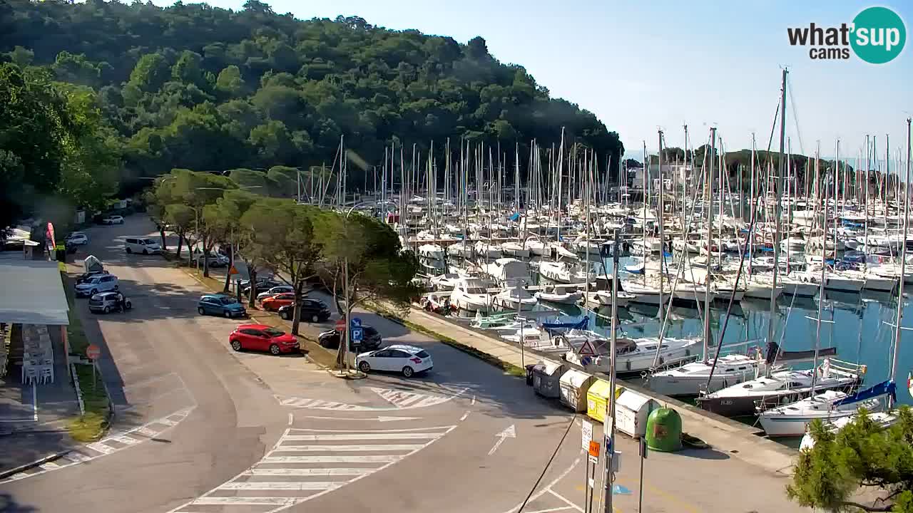 Webcam Sistiana Baia – Live View of the Marina and Gulf