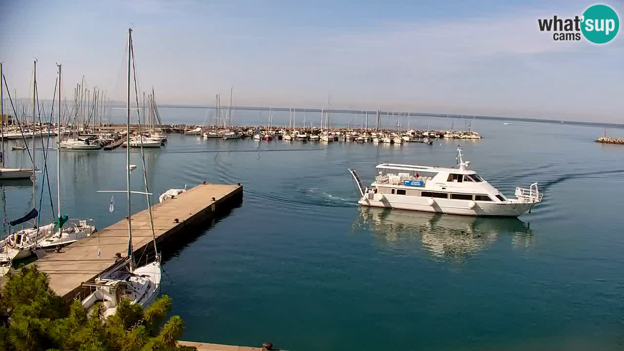 Spletna kamera Sesljanski zaliv – Pogled v živo na marino in zaliv