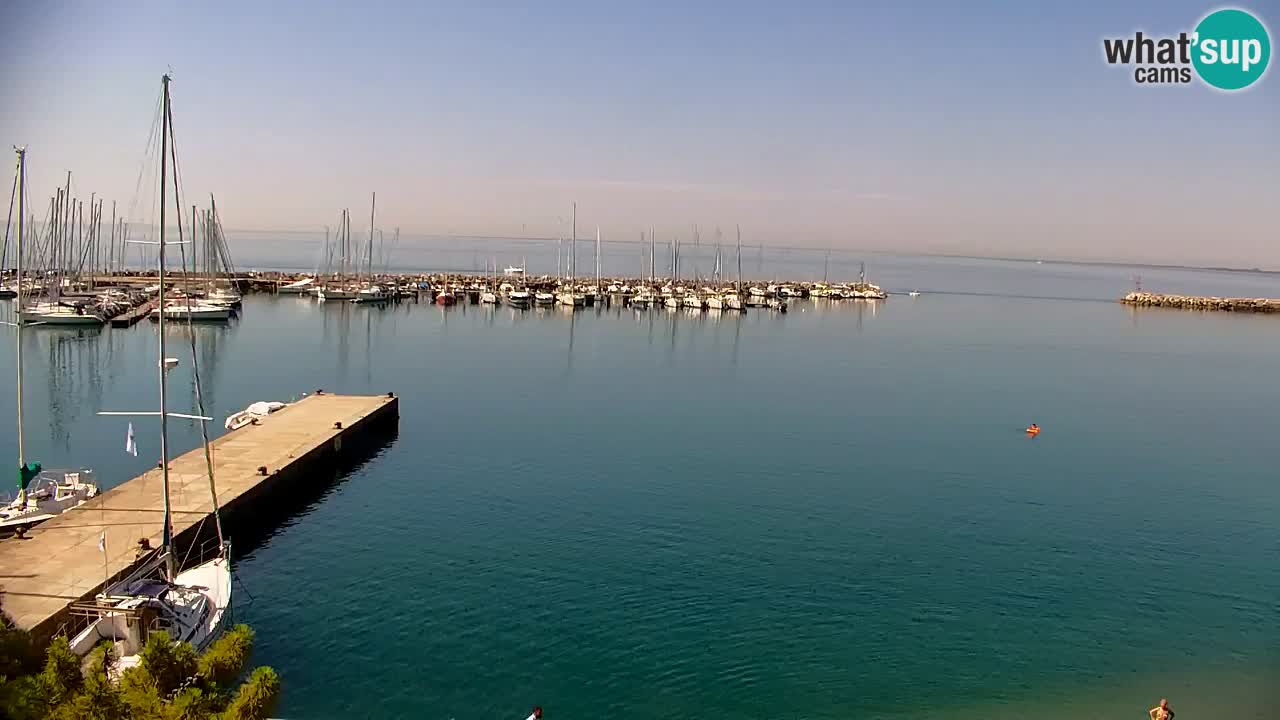 Web kamera Sistiana Uvala – Pogled uživo na marinu i zaljev