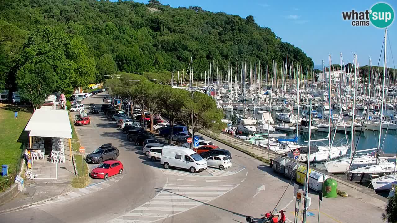 Webcam Bahía de Sistiana – Vista en directo del puerto deportivo y la costa