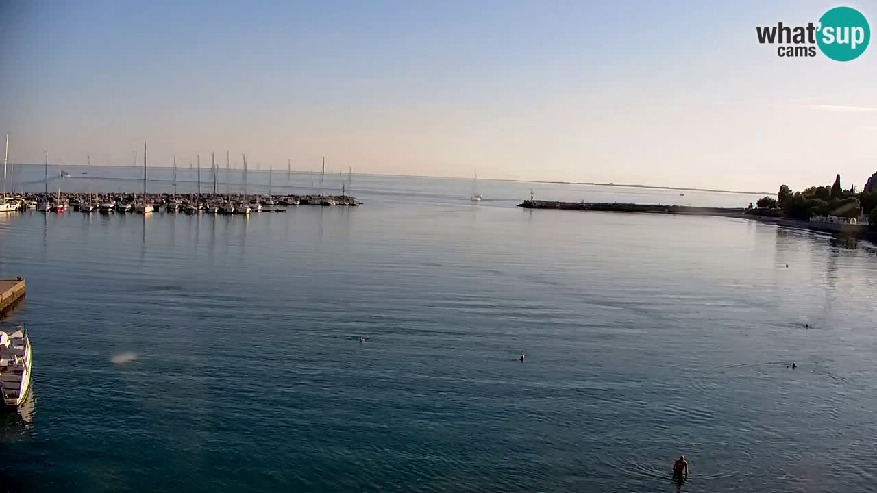 Webcam Bahía de Sistiana – Vista en directo del puerto deportivo y la costa