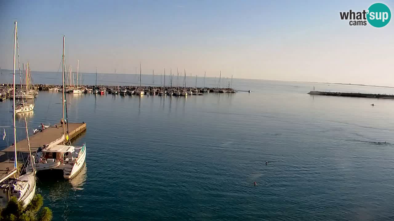 Webcam Bahía de Sistiana – Vista en directo del puerto deportivo y la costa