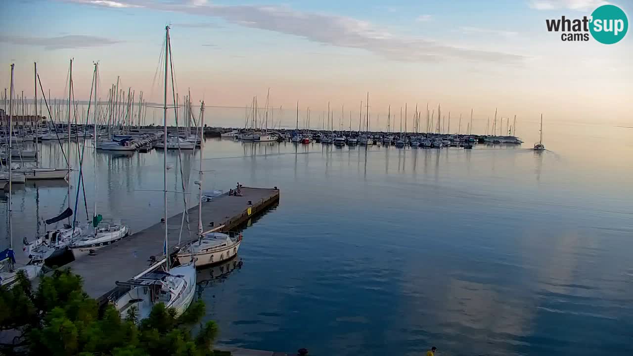 Webcam Bahía de Sistiana – Vista en directo del puerto deportivo y la costa