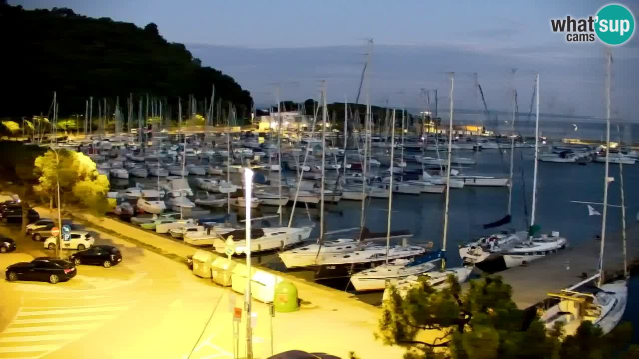 Webcam Sistiana Baia – Live View of the Marina and Gulf