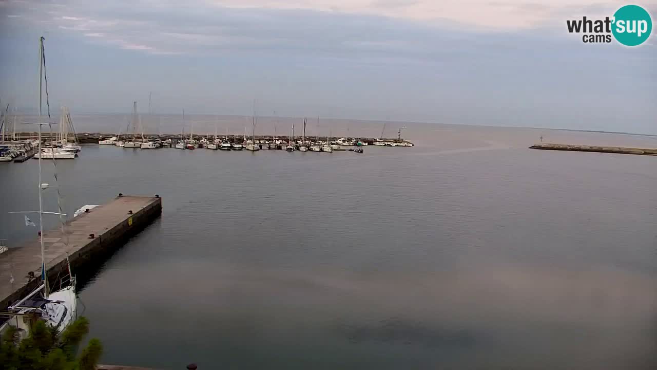 Webcam Sistiana Baia – Live View of the Marina and Gulf