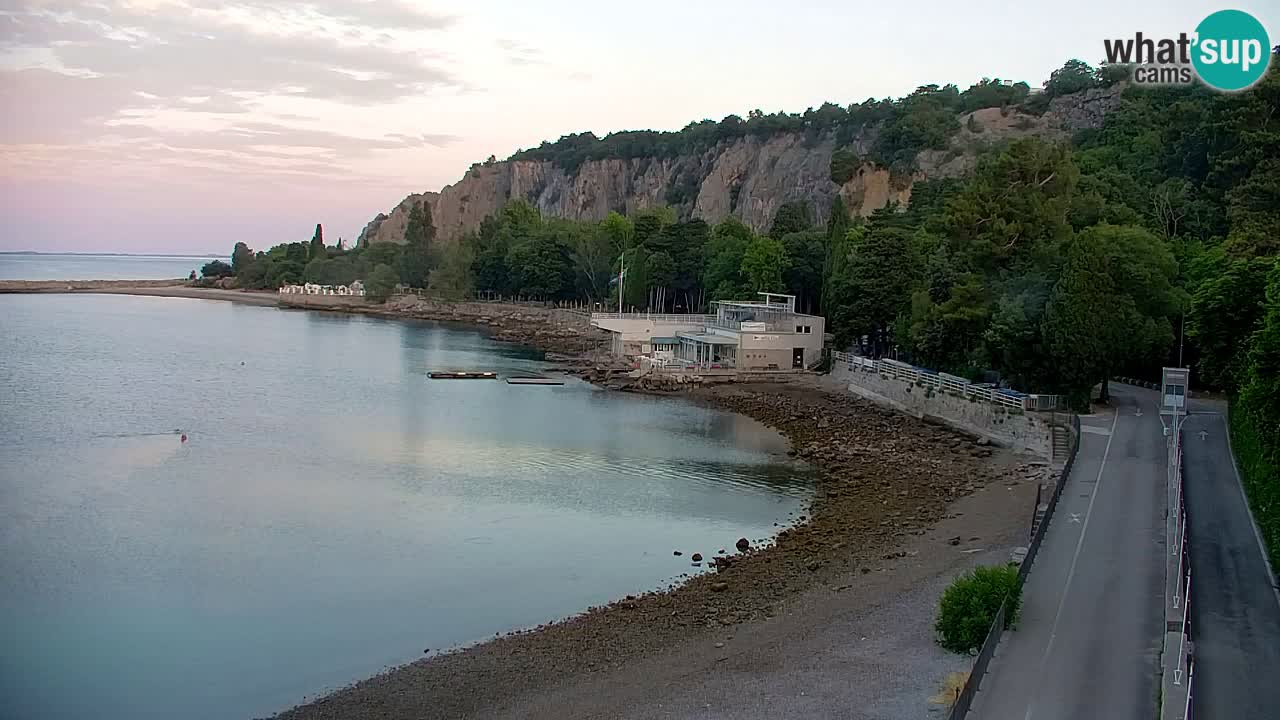 Webcam Sistiana Baia – Live View of the Marina and Gulf