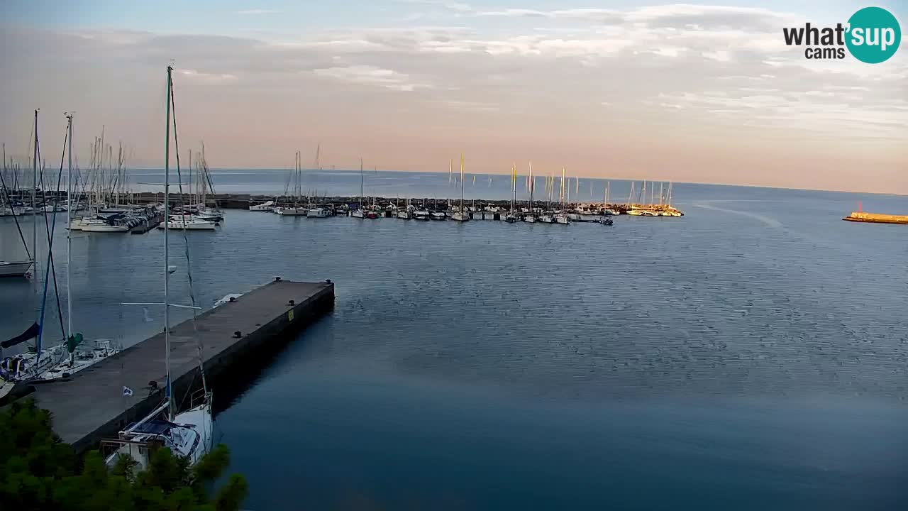 Webcam Sistiana Baia – Live View of the Marina and Gulf