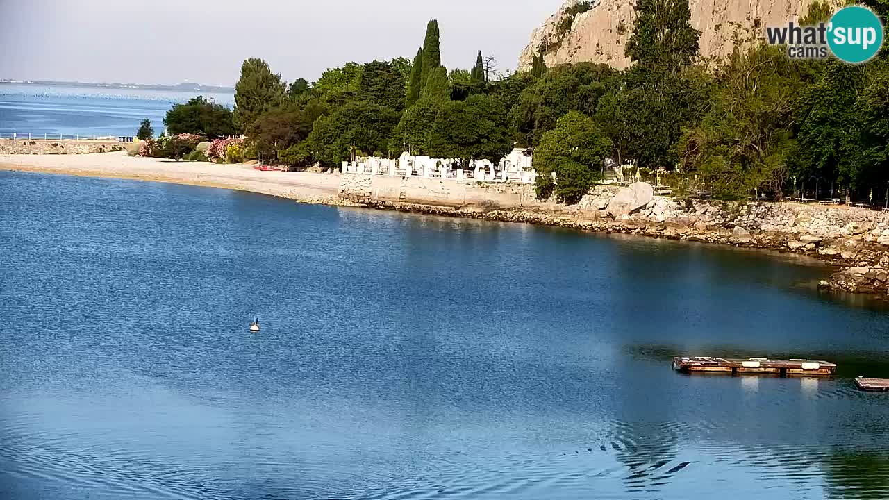 Webcam Bahía de Sistiana – Vista en directo del puerto deportivo y la costa