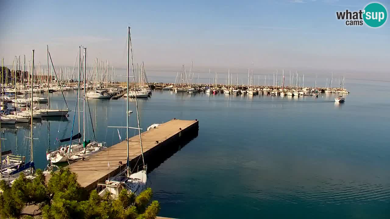 Spletna kamera Sesljanski zaliv – Pogled v živo na marino in zaliv