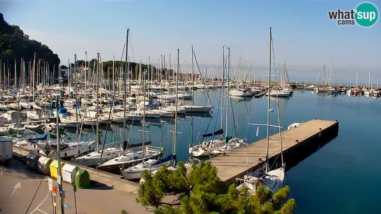 Webcam Sistiana Baia – Live View of the Marina and Gulf