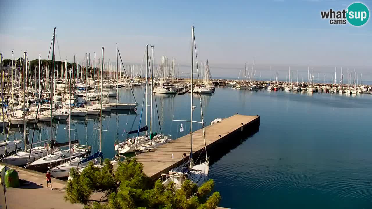 Webcam Bahía de Sistiana – Vista en directo del puerto deportivo y la costa