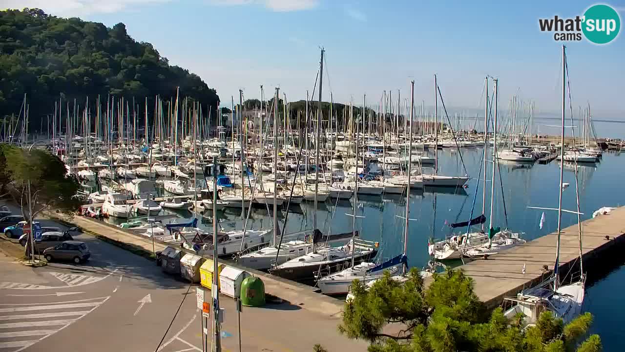 Webcam Sistiana Baia – Live View of the Marina and Gulf