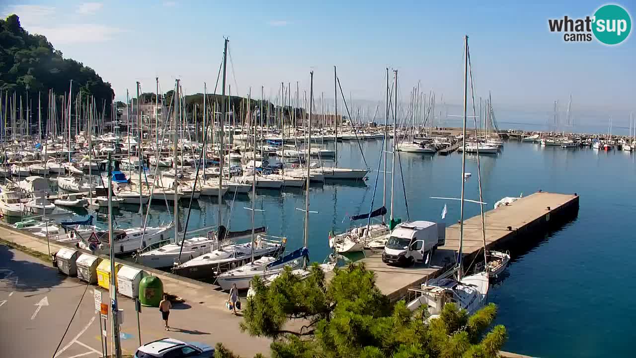 Webcam Bahía de Sistiana – Vista en directo del puerto deportivo y la costa