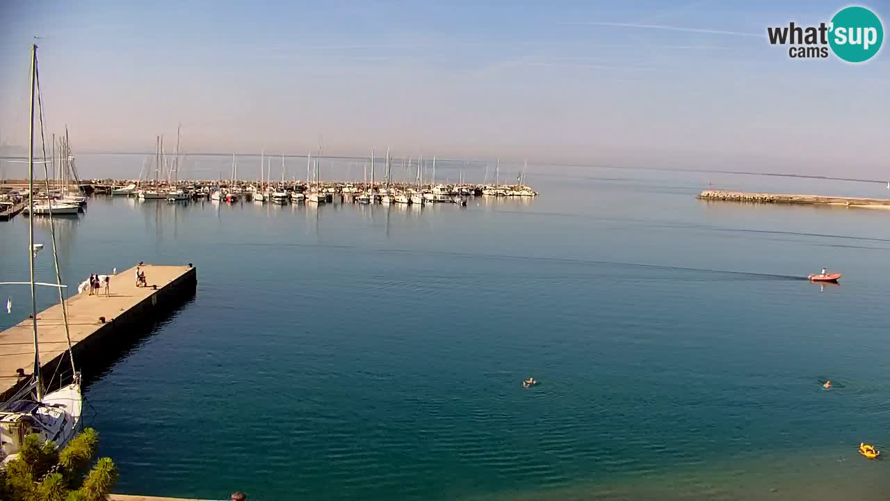 Webcam Sistiana Baia – Live View of the Marina and Gulf