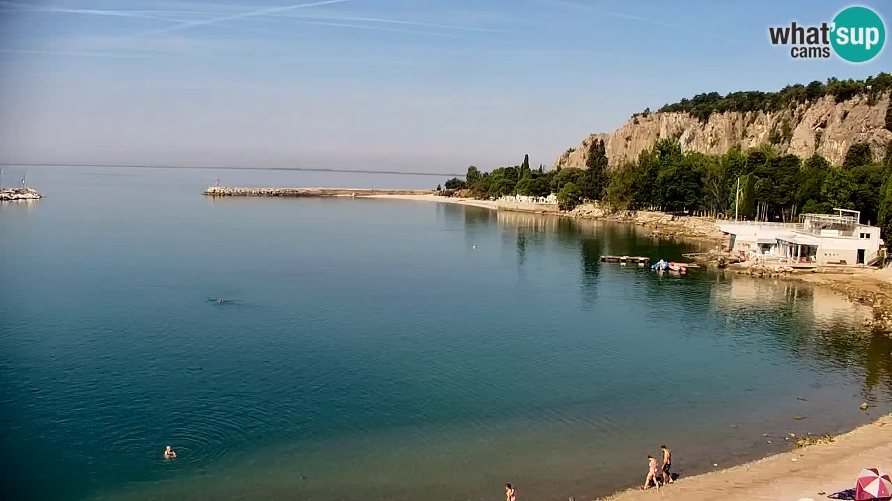 Webcam Sistiana Baia – Live View of the Marina and Gulf