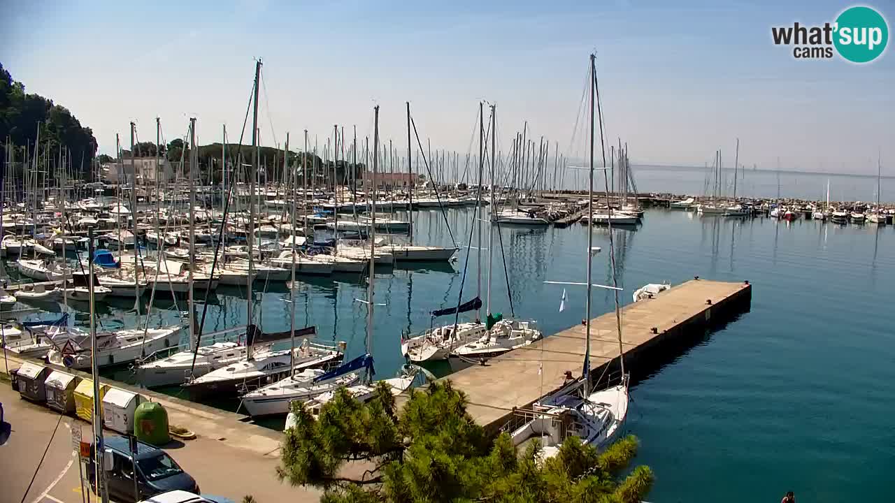 Webcam Sistiana Baia – Live View of the Marina and Gulf