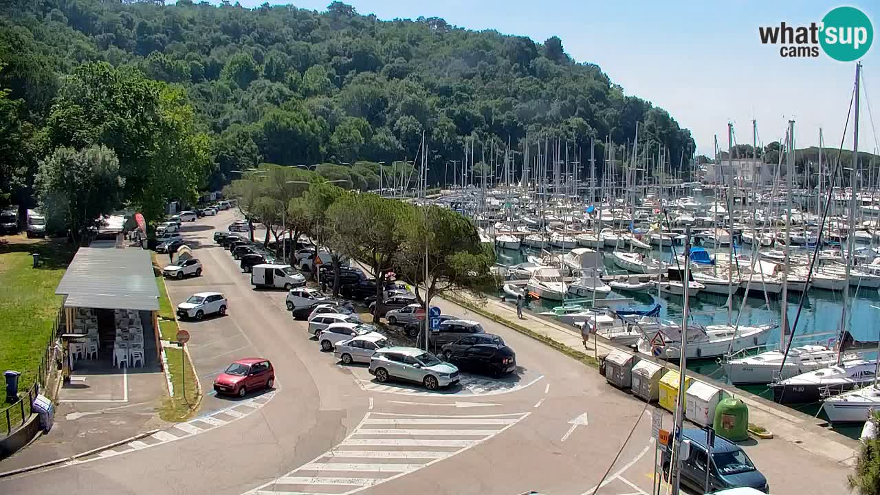 Webcam Sistiana Baia – Live View of the Marina and Gulf