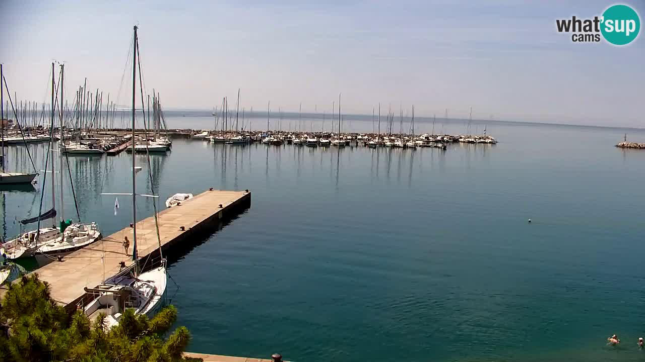 Webcam Sistiana Baia – Live View of the Marina and Gulf