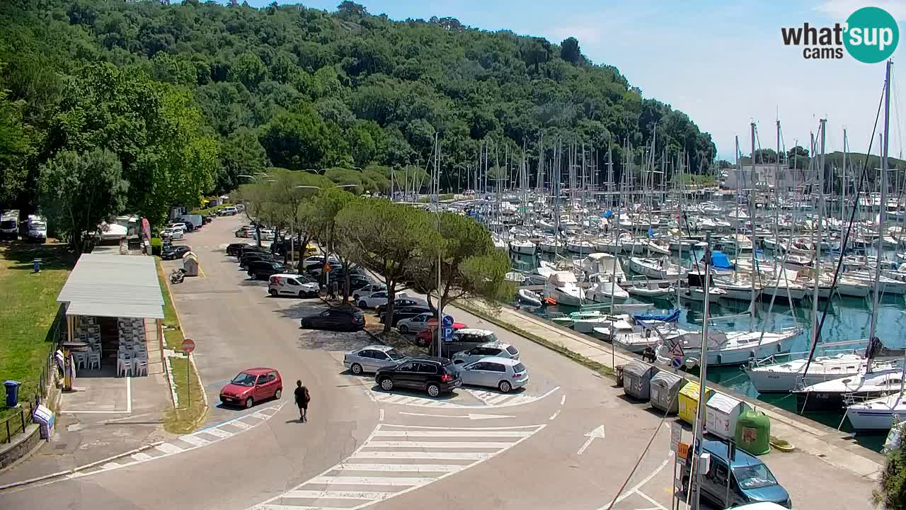 Spletna kamera Sesljanski zaliv – Pogled v živo na marino in zaliv