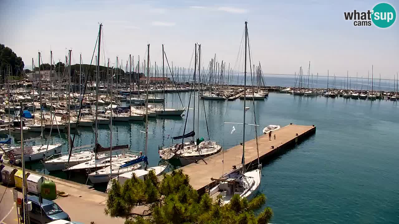 Spletna kamera Sesljanski zaliv – Pogled v živo na marino in zaliv