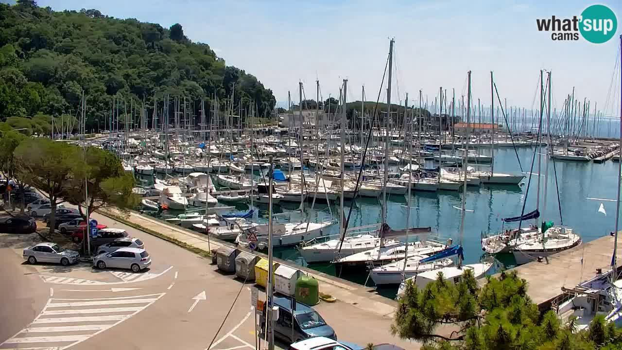 Webcam Bahía de Sistiana – Vista en directo del puerto deportivo y la costa