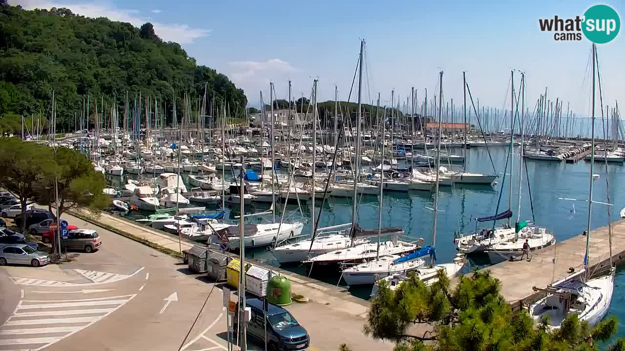Webcam Sistiana Baia – Live View of the Marina and Gulf