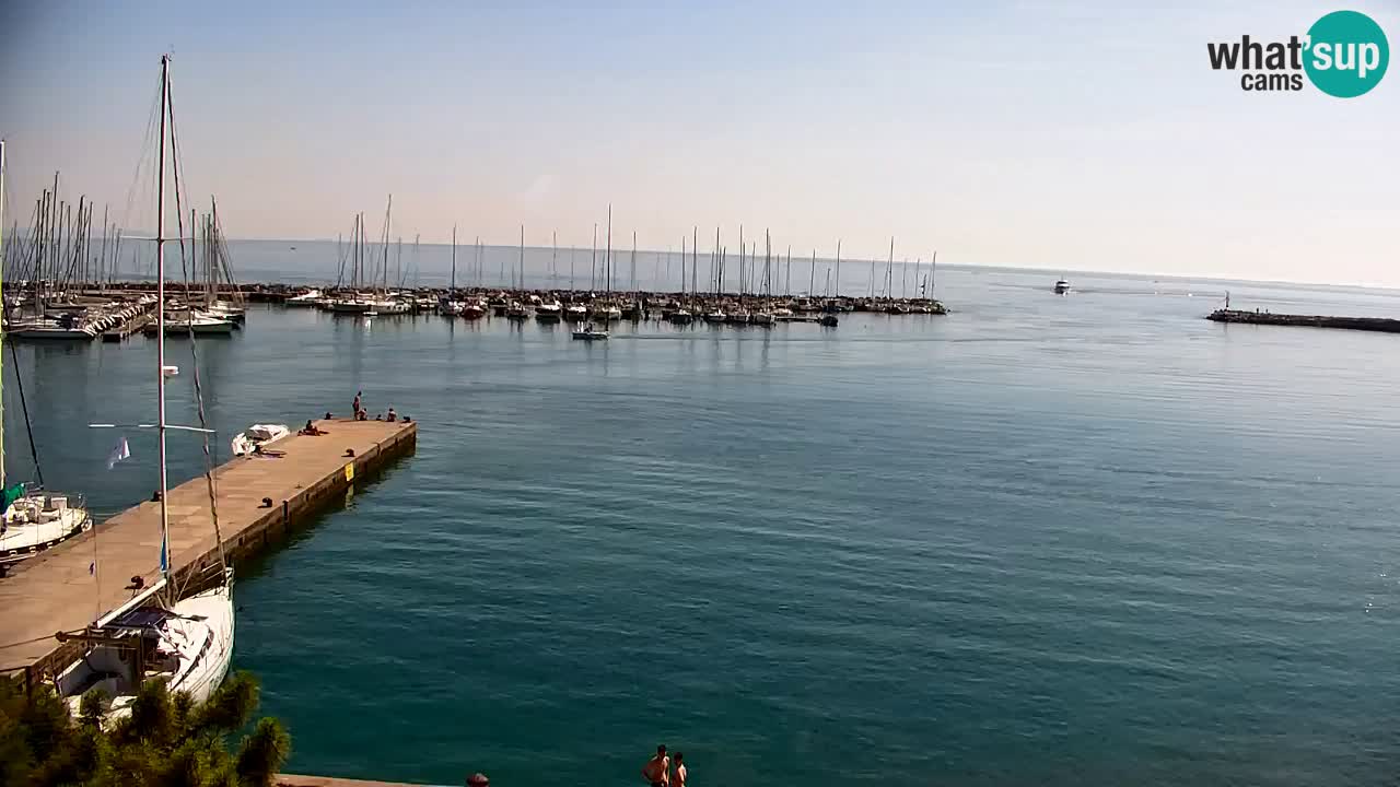 Webcam Sistiana Baia – Live View of the Marina and Gulf