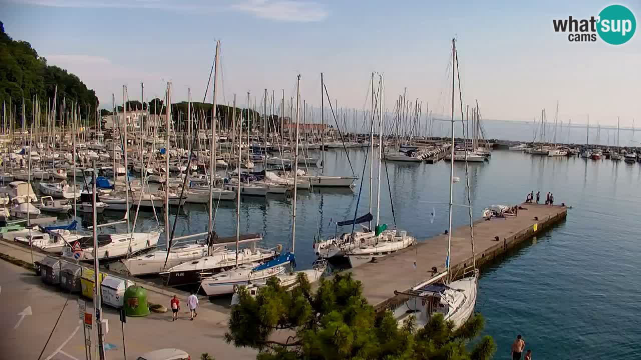 Webcam Sistiana Baia – Live View of the Marina and Gulf