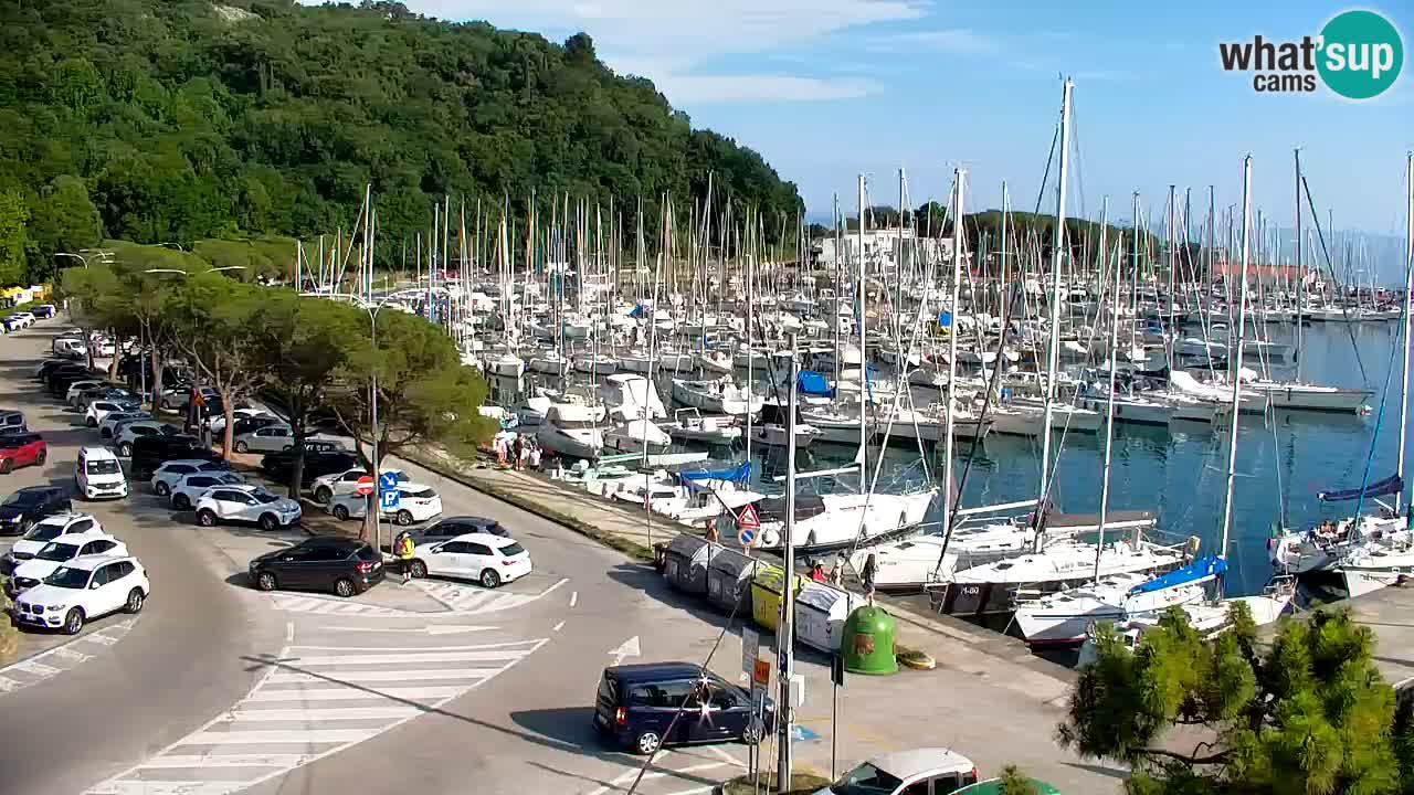 Webcam Sistiana Baia – Live View of the Marina and Gulf