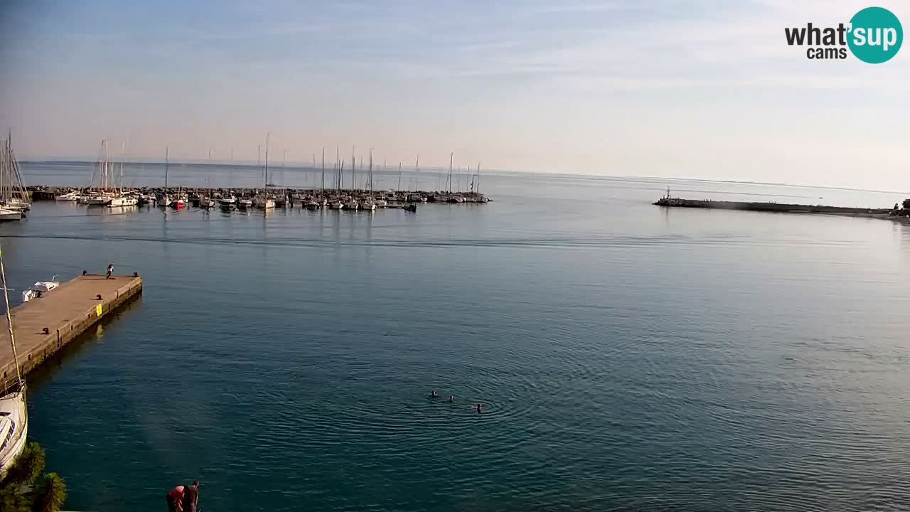 Web kamera Sistiana Uvala – Pogled uživo na marinu i zaljev