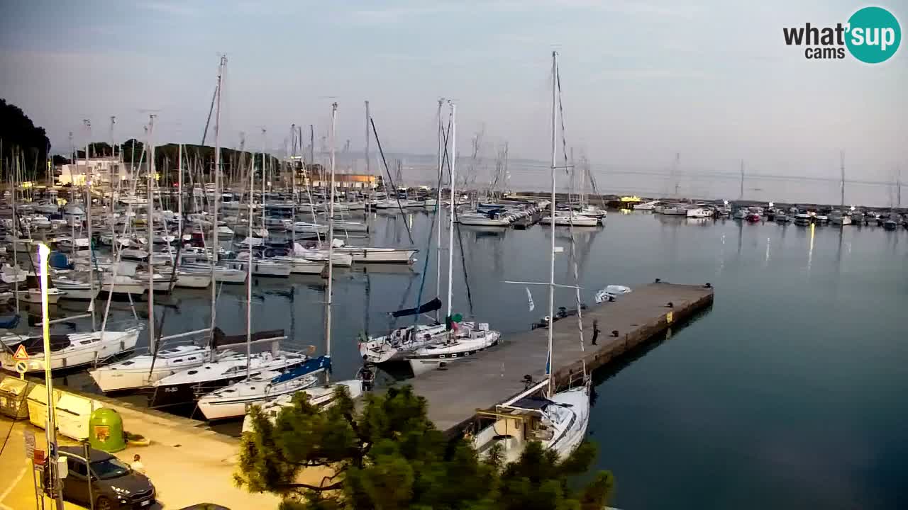 Webcam Bahía de Sistiana – Vista en directo del puerto deportivo y la costa