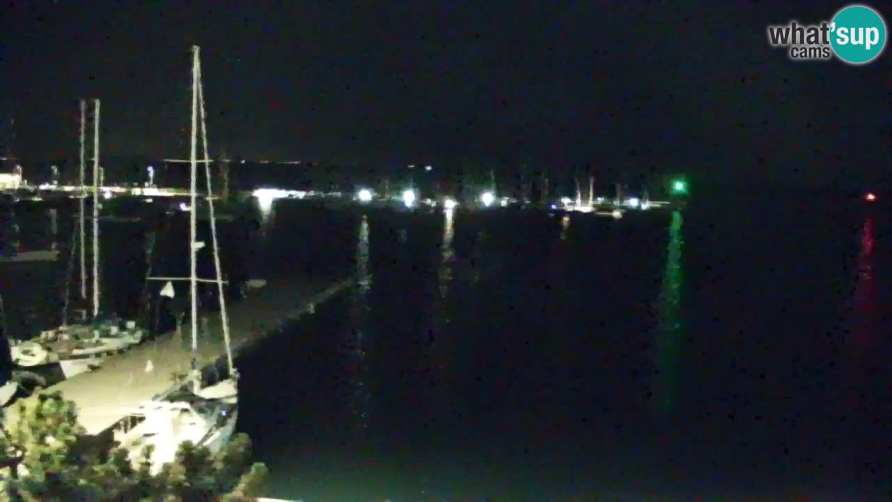 Spletna kamera Sesljanski zaliv – Pogled v živo na marino in zaliv