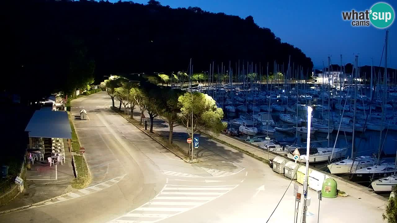 Webcam Sistiana Baia – Live View of the Marina and Gulf