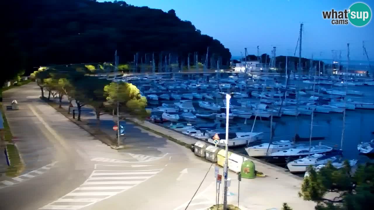 Webcam Sistiana Baia – Live View of the Marina and Gulf