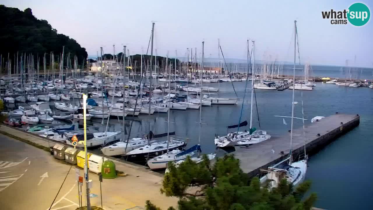 Webcam Sistiana Bucht – Liveblick auf Marina und Bucht
