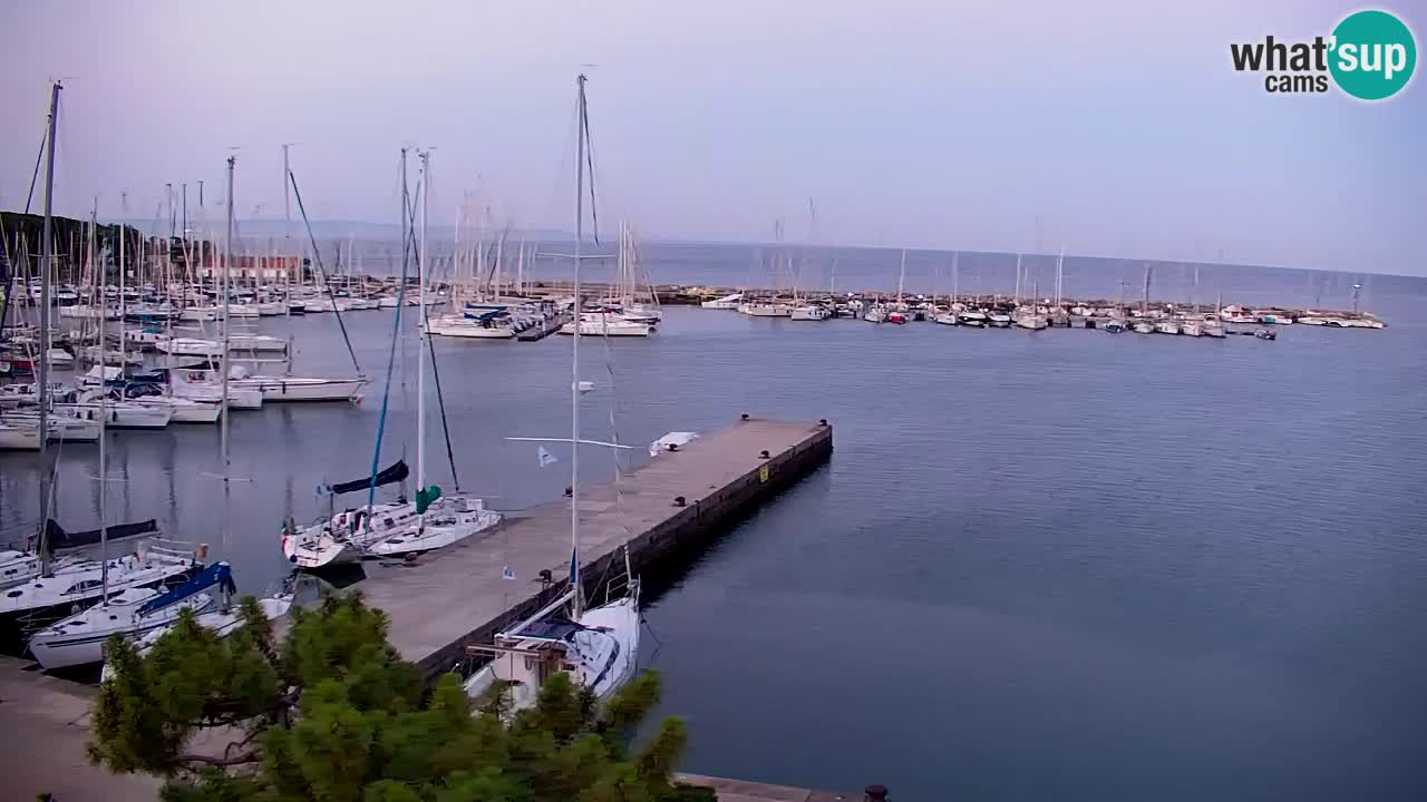 Web kamera Sistiana Uvala – Pogled uživo na marinu i zaljev