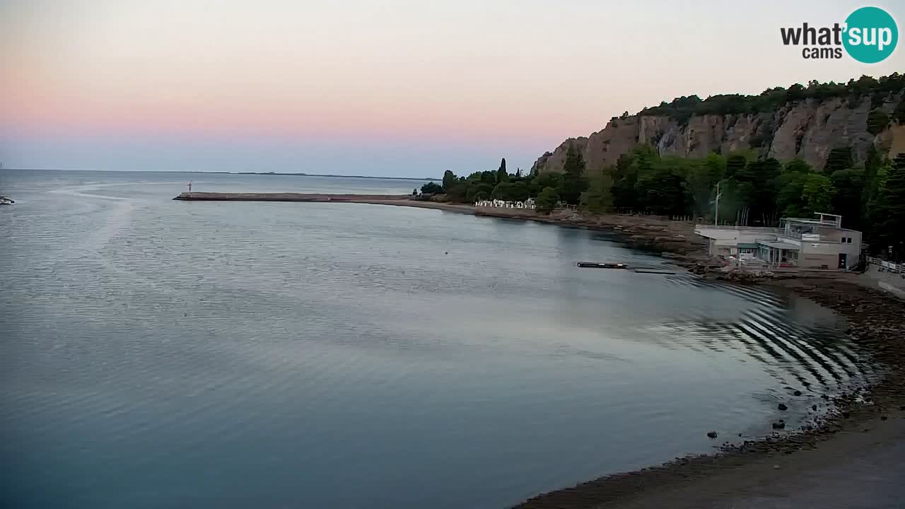 Webcam Bahía de Sistiana – Vista en directo del puerto deportivo y la costa