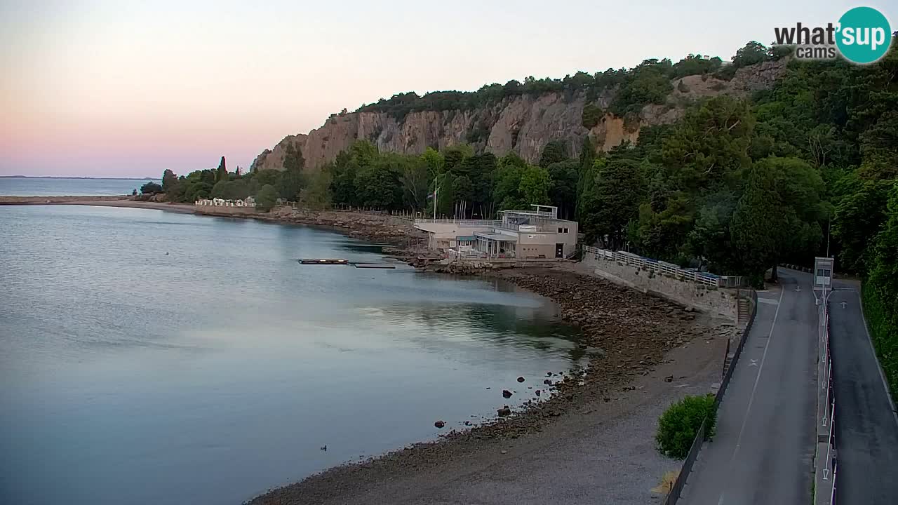 Webcam Bahía de Sistiana – Vista en directo del puerto deportivo y la costa