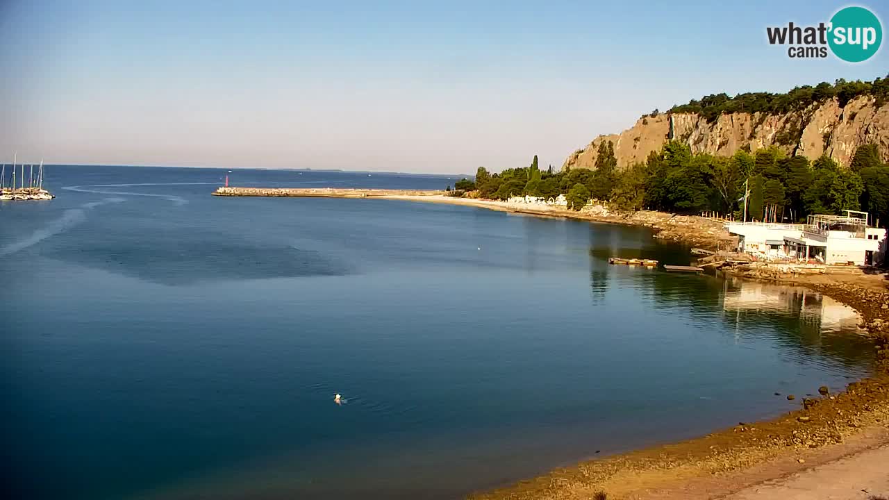 Web kamera Sistiana Uvala – Pogled uživo na marinu i zaljev