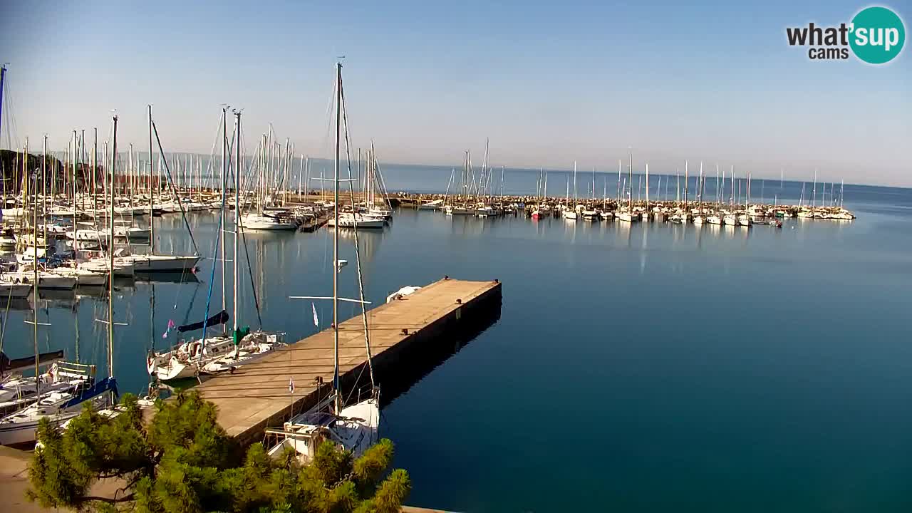 Web kamera Sistiana Uvala – Pogled uživo na marinu i zaljev