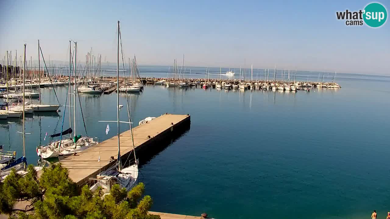 Webcam Bahía de Sistiana – Vista en directo del puerto deportivo y la costa