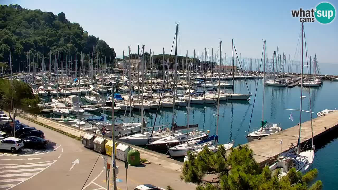 Webcam Sistiana Baia – Live View of the Marina and Gulf