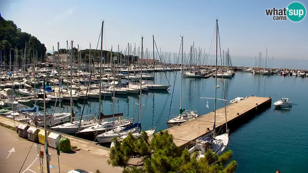 Webcam Bahía de Sistiana – Vista en directo del puerto deportivo y la costa