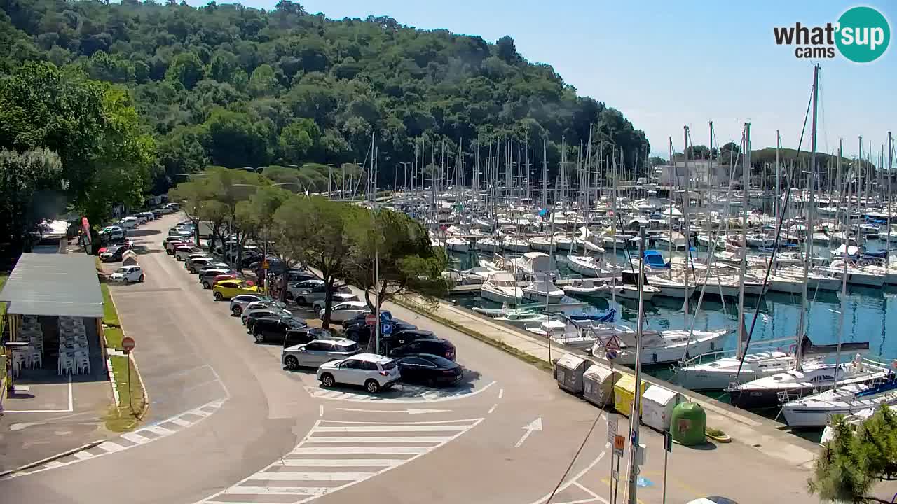 Webcam Bahía de Sistiana – Vista en directo del puerto deportivo y la costa