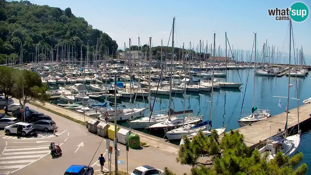 Web kamera Sistiana Uvala – Pogled uživo na marinu i zaljev